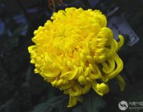 㣨23
