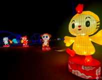 南阳中国月季园灯展24