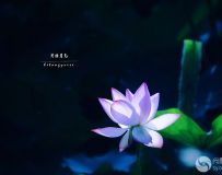 ɫ