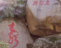 ɽ羰