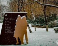 ѩ8