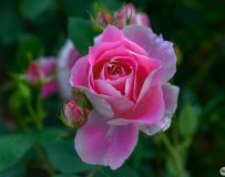 ���µ��¼�