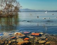 ����һ��