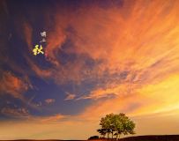 Ũ