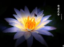 䰮