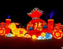 南阳中国月季园灯展19