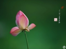 ֮
