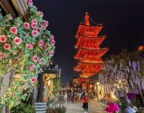 黨ҹɫ5