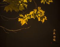 ҹů