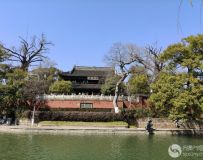 �����Ϻ�����¥֮��