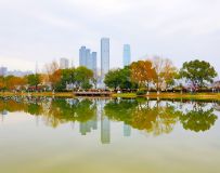 羰续