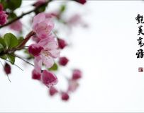 Ļ   