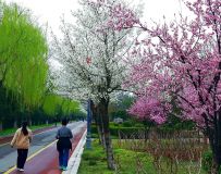 �����羰26.3