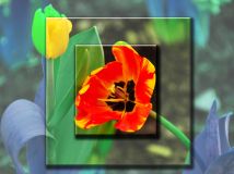 ҵ