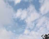 Ӱ