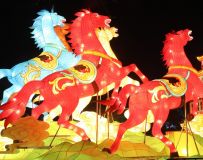 ������Բ��԰�ƻ�