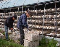 ������ֲϲ����գ�5��