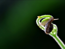 2013¡ƪ ţ