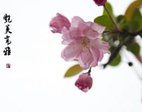 Ļ   