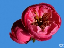 ǻ06
