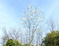 ľ������