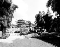 羰