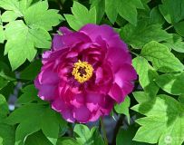 �ٻ�֮����