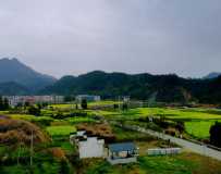 崺2