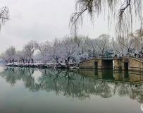 黳