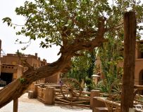 ��������������