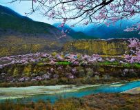 ֥һ1