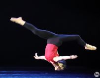 йŵѵ15