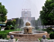 λ