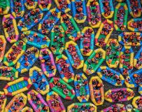 ��������