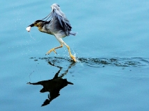 ҹˡѧġ