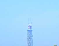 ̬ر꡷