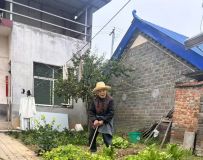 ʵ�����в���