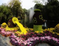 ǹ----------ջ㻨2