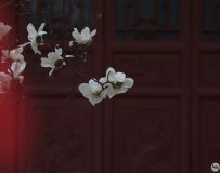 湬2