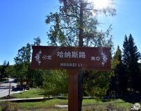 ����˹���½���