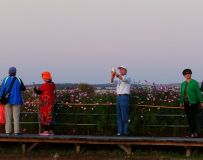 ��������