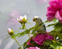 С����ĵ��