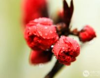 ޵Ļ꣬ŨŨĻ㣨40