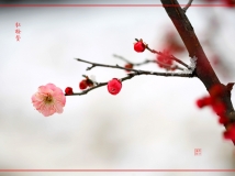 ÷ޣ