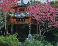 ��������ͤ