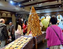 ��³ľ����ʴ����