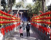 ����������26.1