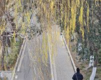 С��������3��