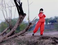 屺紺6