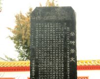 ı